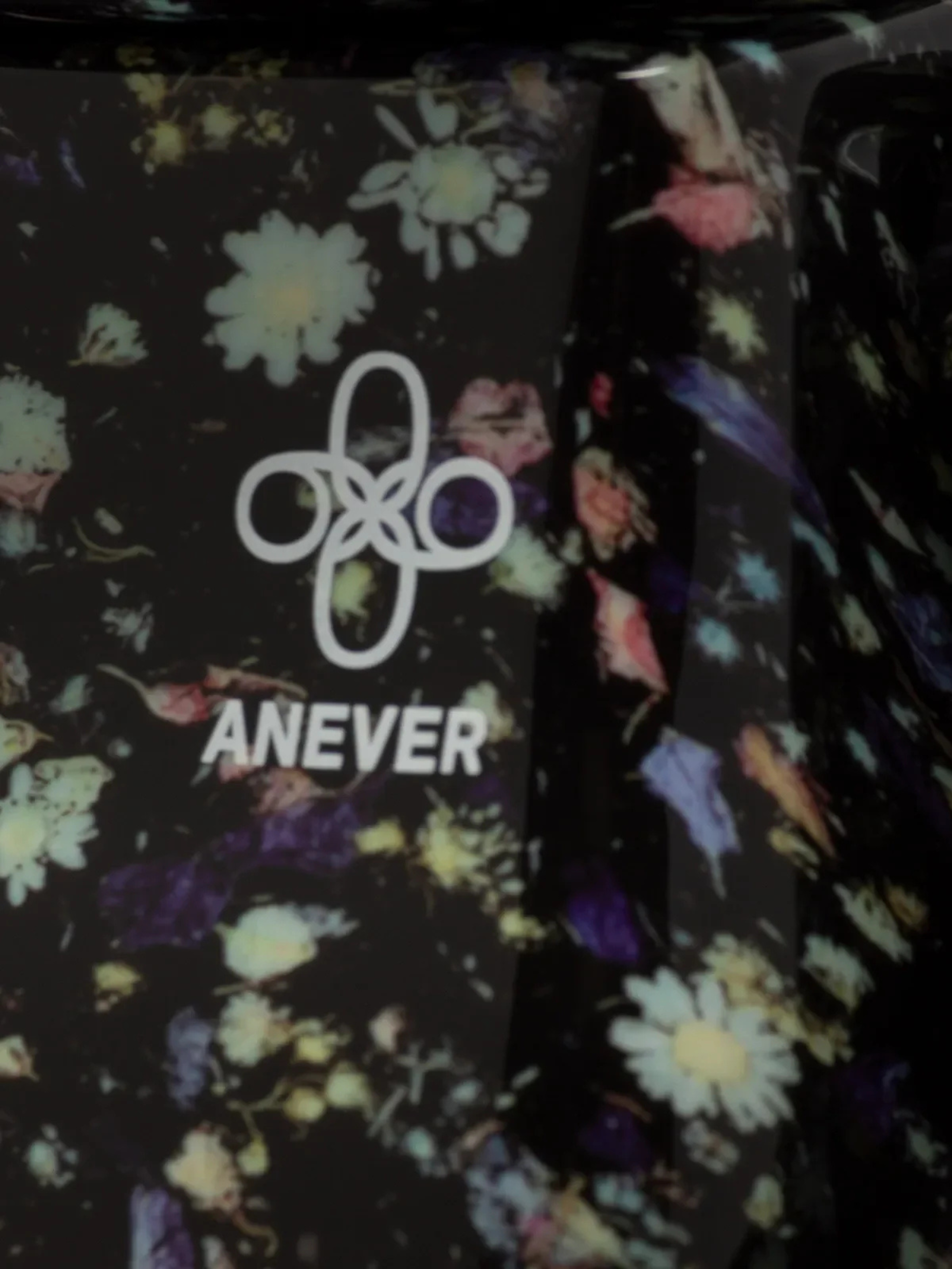 Bearbrick Anever 1000%